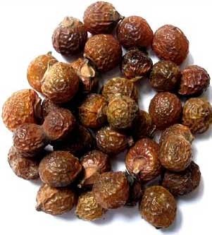 Soap nuts (Ritha, Reetha)