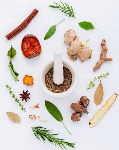 Herbs: A Key To Have Healthy Mind And Body