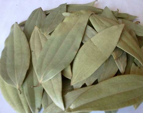 Bay Leaf (Tej Patta, Tejpat, Tamalpatra)